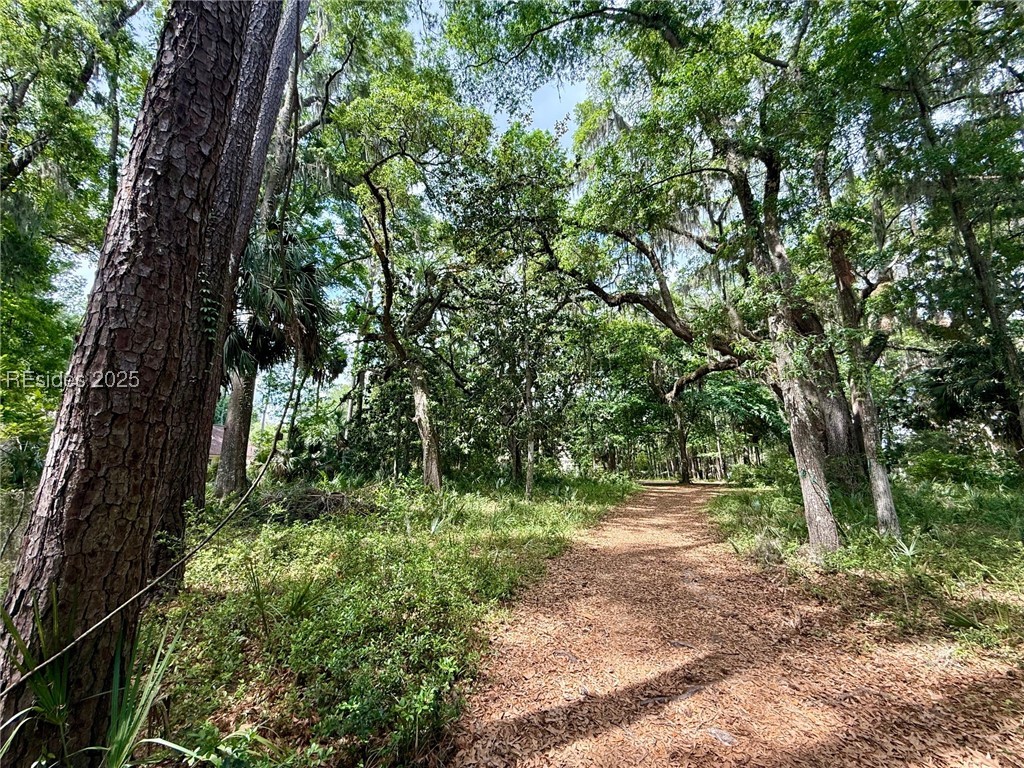 85 E Winding Oak Drive, Okatie, Texas image 10