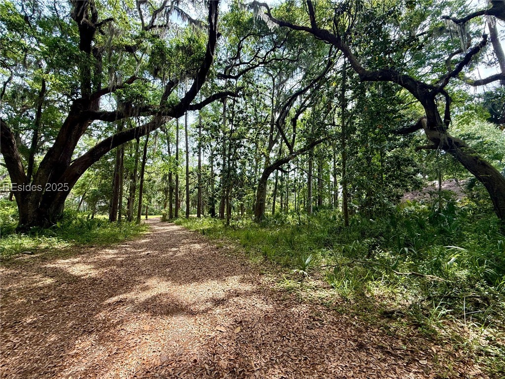 85 E Winding Oak Drive, Okatie, Texas image 4