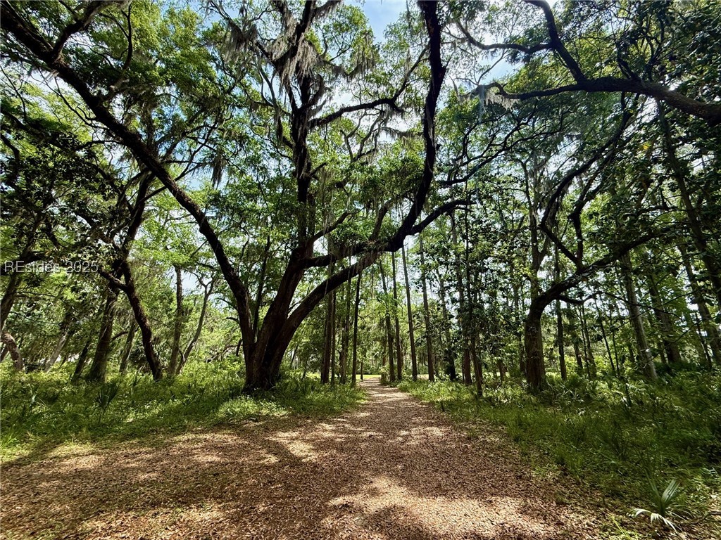 85 E Winding Oak Drive, Okatie, Texas image 3