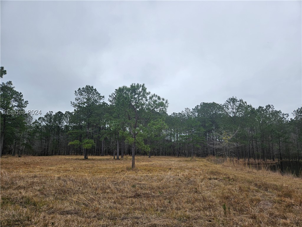 39 Lacy Love Court, Ridgeland, South Carolina image 12