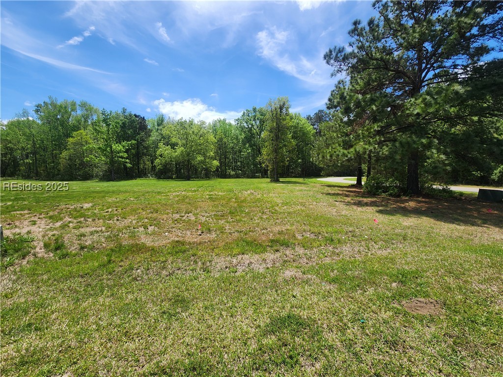 1082 Settings Drive, Yemassee, South Carolina image 2