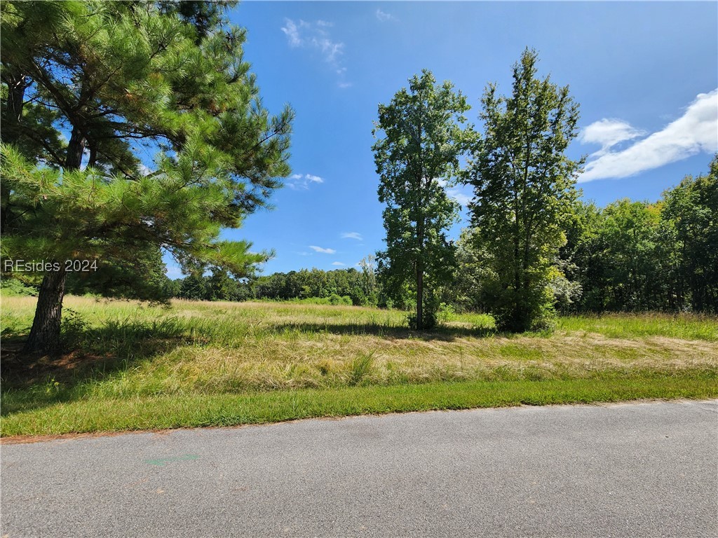 1082 Settings Drive, Yemassee, South Carolina image 3