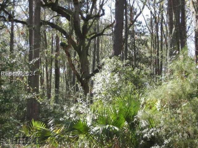 26 Longwood Drive, Okatie, South Carolina image 1