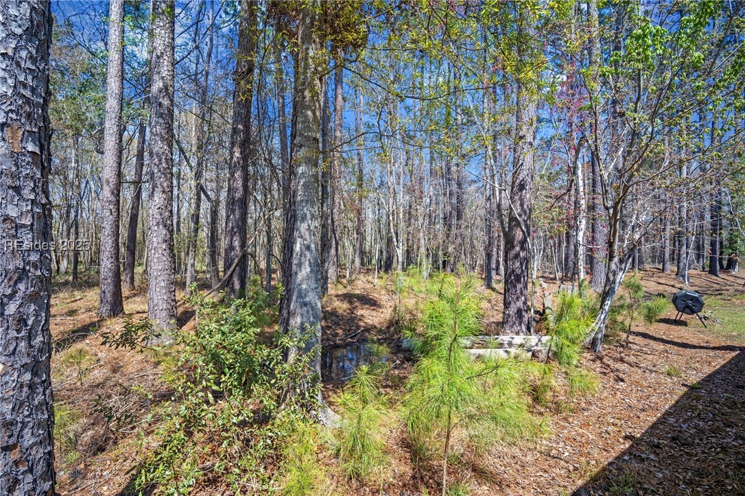 224 Athletics Park Road, Okatie, South Carolina image 26