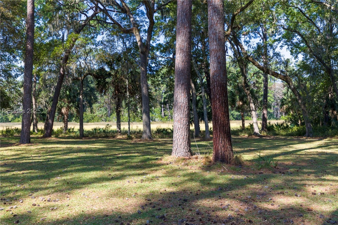 135 Ave Of Oaks, Daufuskie Island, South Carolina image 50