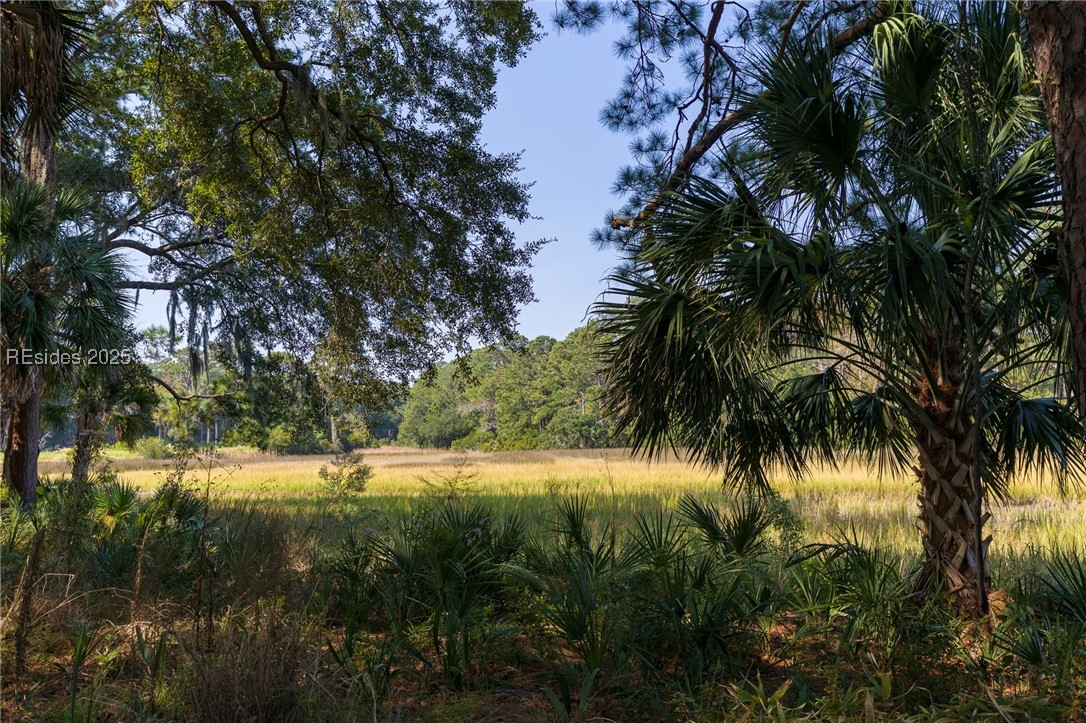 135 Ave Of Oaks, Daufuskie Island, South Carolina image 48