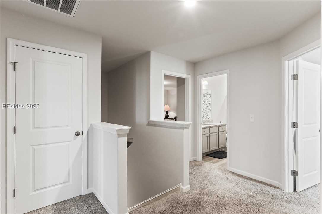 356 Ridgeland Lakes Drive, Ridgeland, South Carolina image 22
