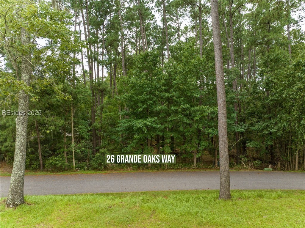 26 Grande Oaks Way, Beaufort, South Carolina image 1
