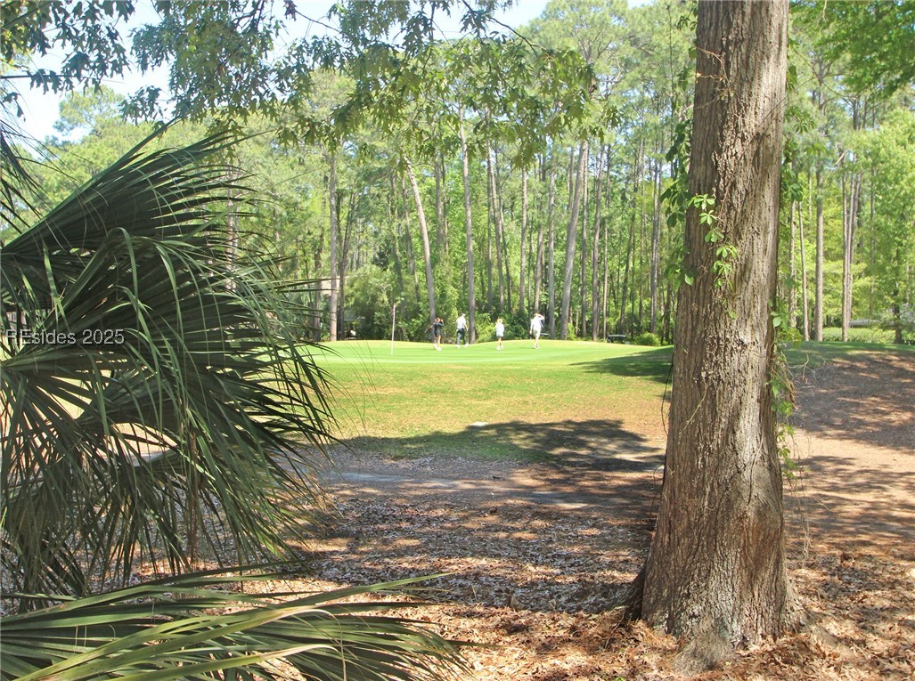 79 Myrtle Bank Road, Hilton Head Island, South Carolina image 30