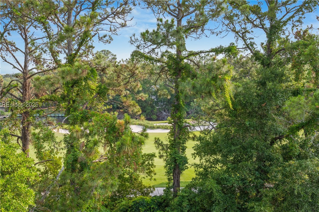 663 William Hilton Parkway #3413, Hilton Head Island, Texas image 35
