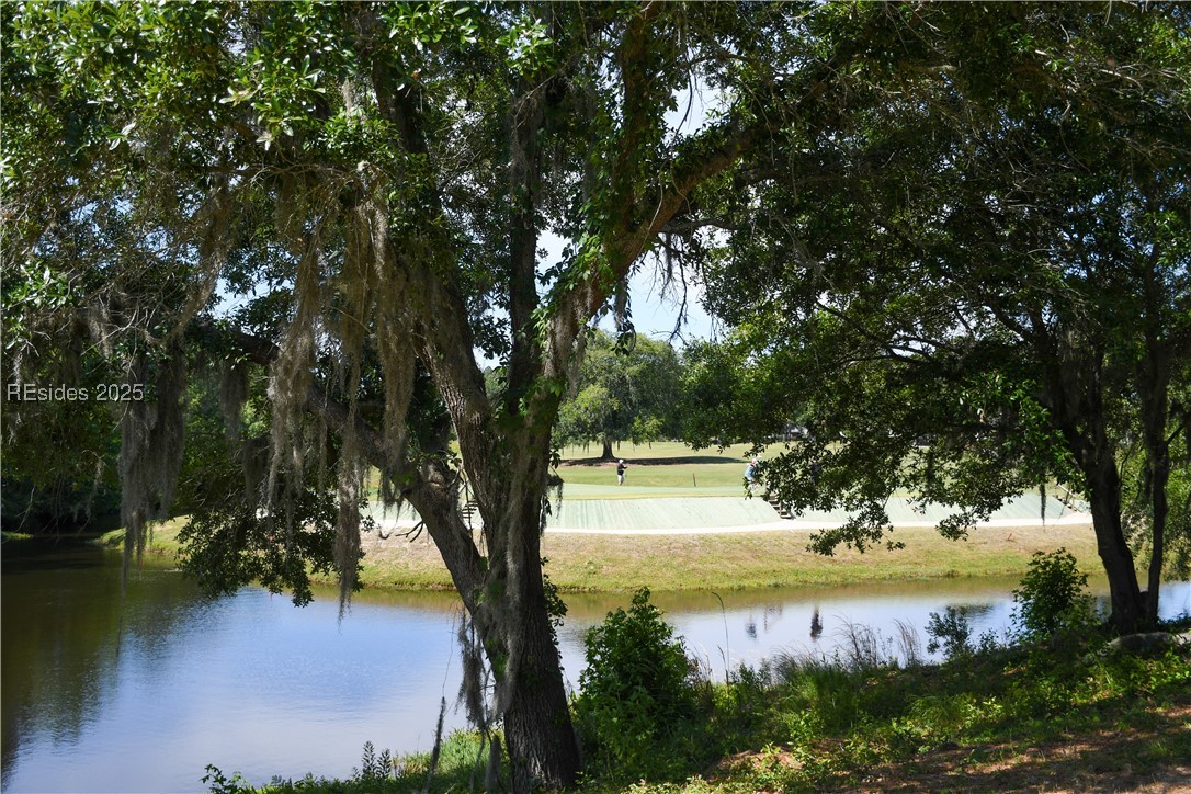 34 Wainwright Drive, Bluffton, Texas image 48