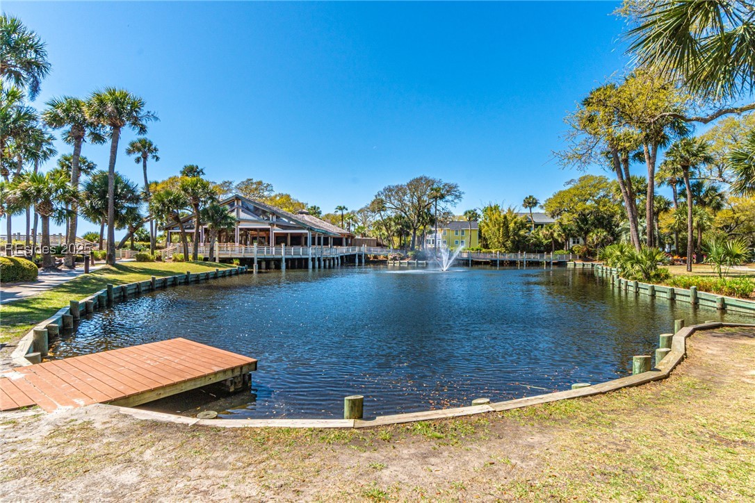 90 Gloucester Road #1005, Hilton Head Island, Texas image 38