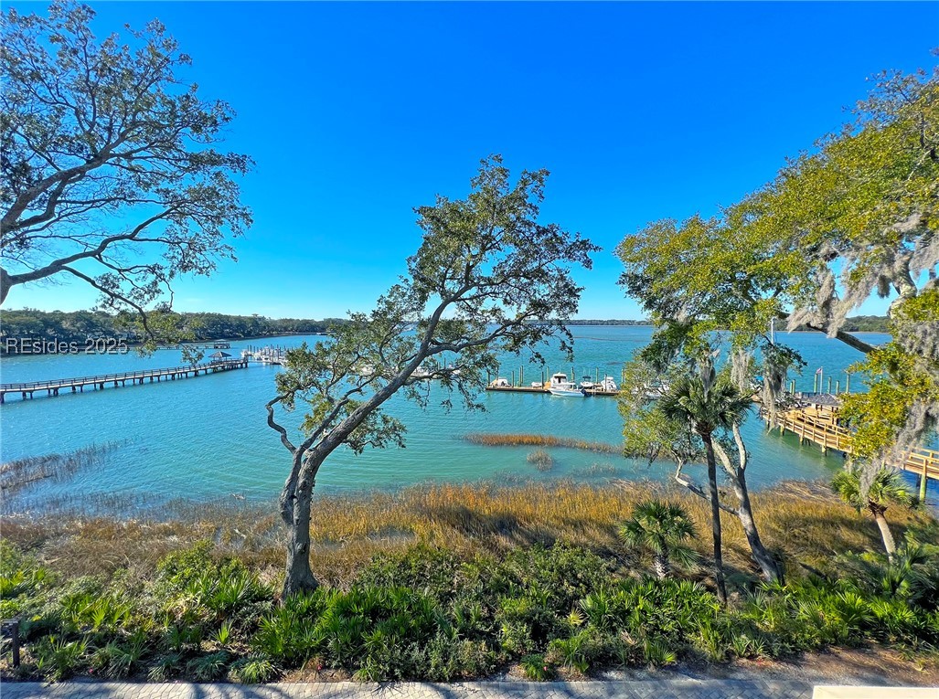 6 Village North Drive #141, Hilton Head Island, Texas image 25