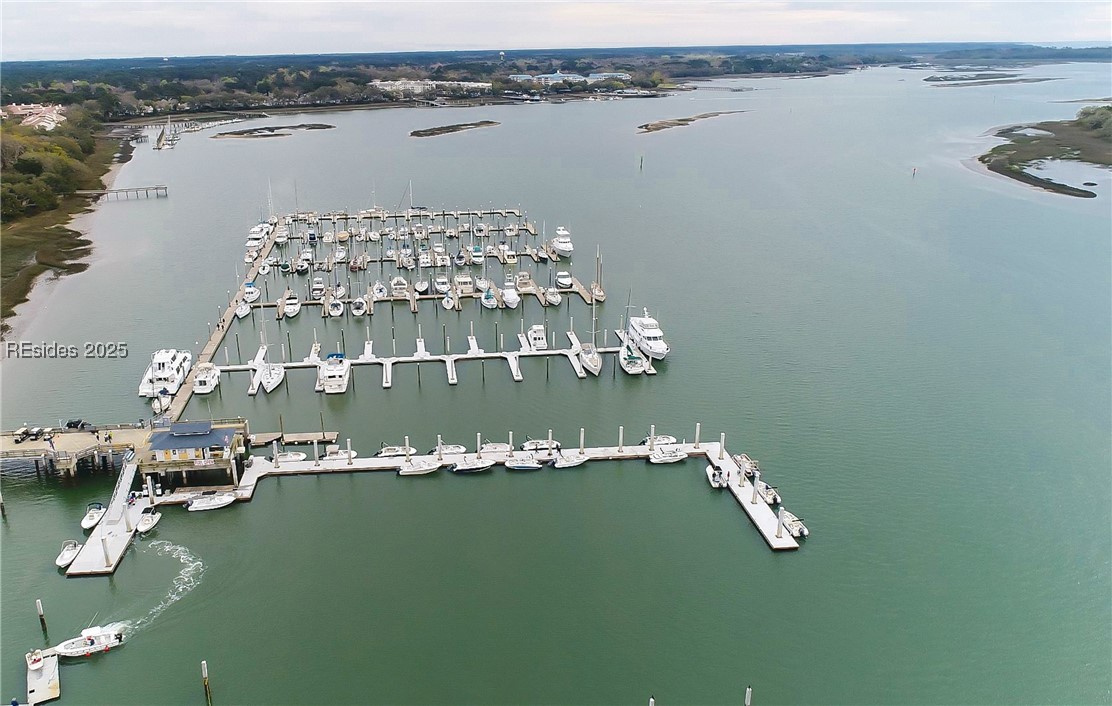 6 Village North Drive #141, Hilton Head Island, Texas image 35