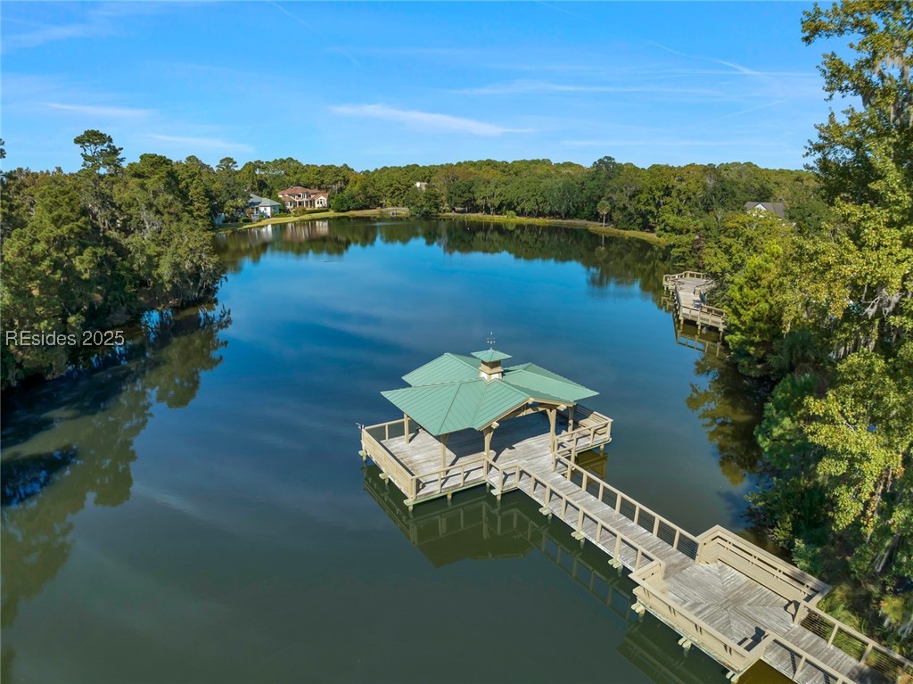 6 Village North Drive #141, Hilton Head Island, Texas image 37