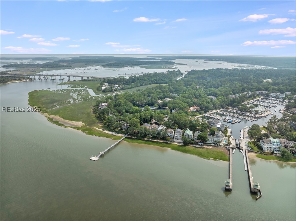 58 Spindle Lane #58, Hilton Head Island, Texas image 38