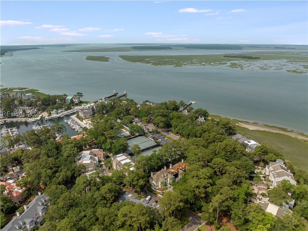 58 Spindle Lane #58, Hilton Head Island, Texas image 37