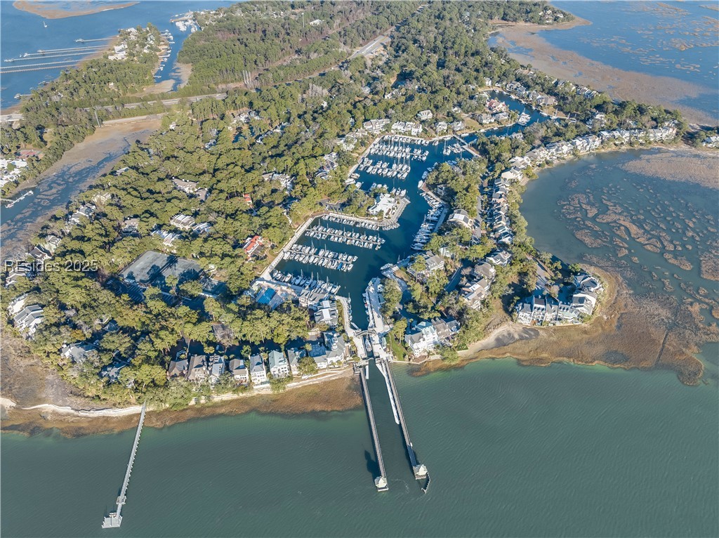 58 Spindle Lane #58, Hilton Head Island, Texas image 43