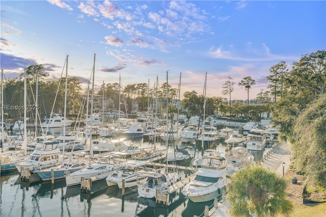 58 Spindle Lane #58, Hilton Head Island, Texas image 49