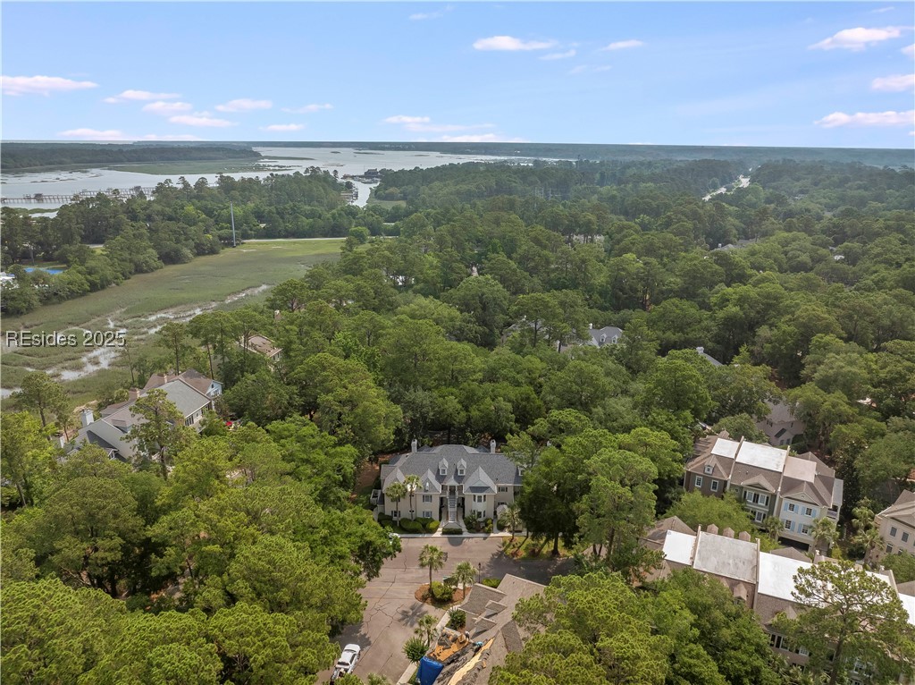 58 Spindle Lane #58, Hilton Head Island, Texas image 35