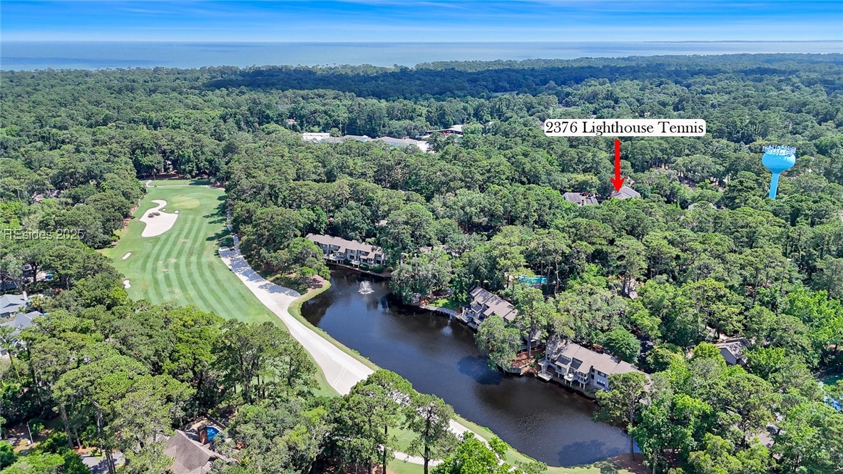 85 Lighthouse Road #2376, Hilton Head Island, Texas image 24