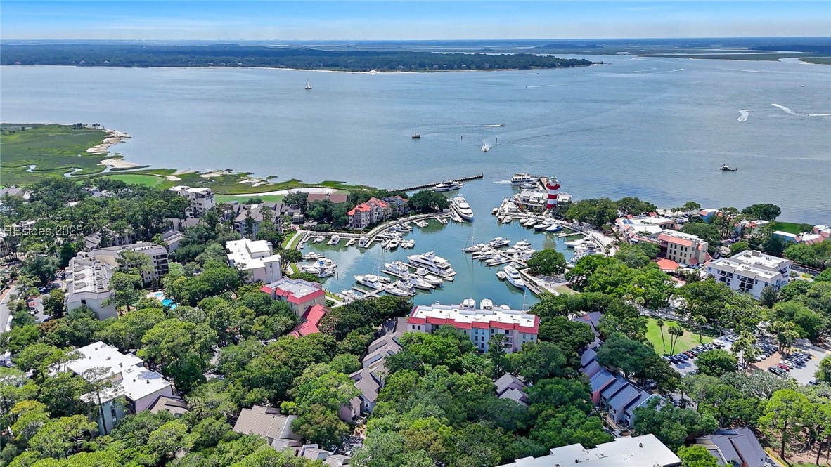 85 Lighthouse Road #2376, Hilton Head Island, Texas image 29