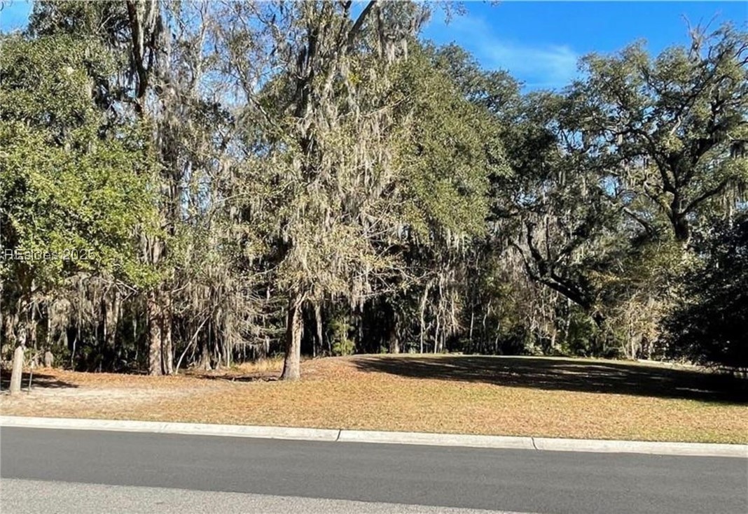 242 S Farnsleigh Ave Ave, Bluffton, South Carolina image 3
