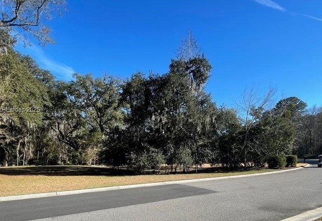 242 S Farnsleigh Ave Ave, Bluffton, South Carolina image 4