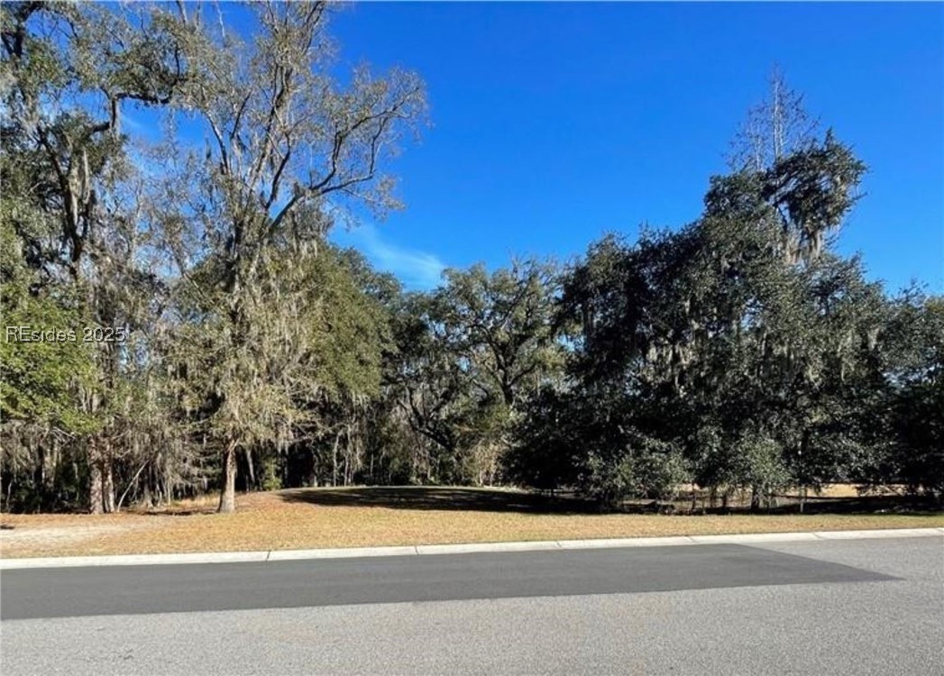 242 S Farnsleigh Ave Ave, Bluffton, South Carolina image 5