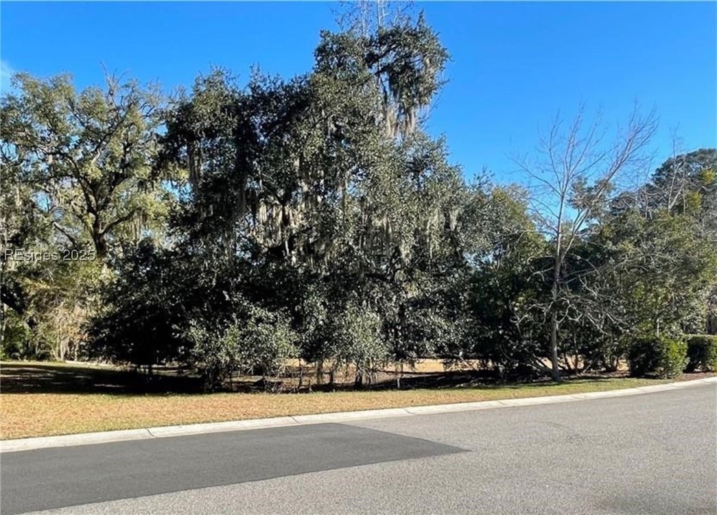 242 S Farnsleigh Ave Ave, Bluffton, South Carolina image 2