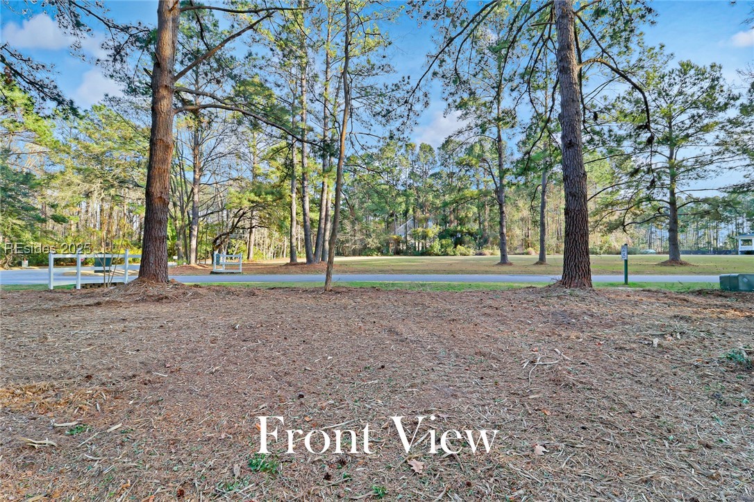 TBD West Branch Rd, Ridgeland, South Carolina image 3