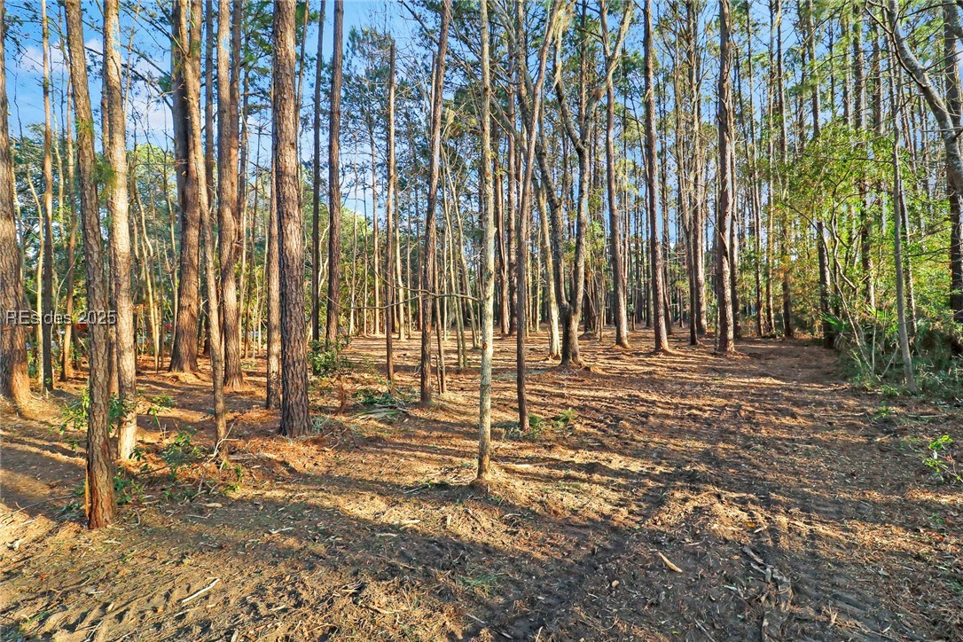TBD West Branch Rd, Ridgeland, South Carolina image 13