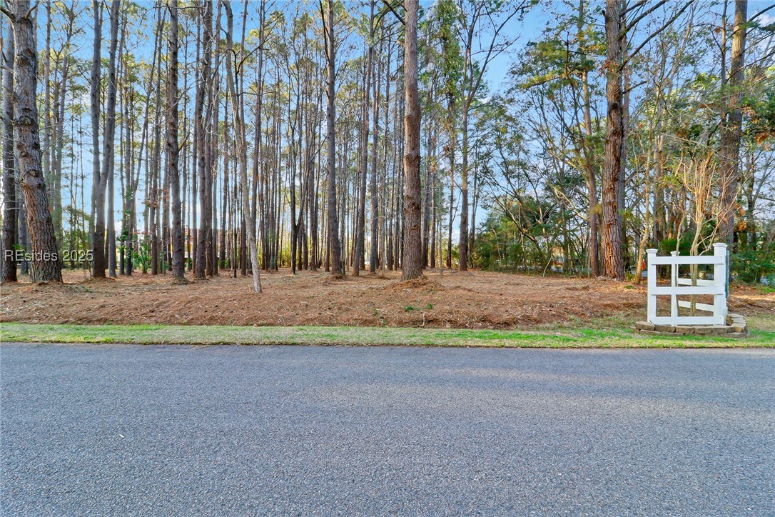 TBD West Branch Rd, Ridgeland, South Carolina image 9