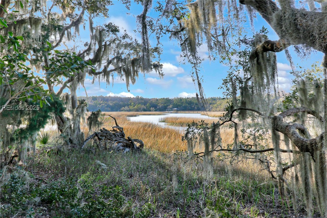 TBD West Branch Rd, Ridgeland, South Carolina image 1