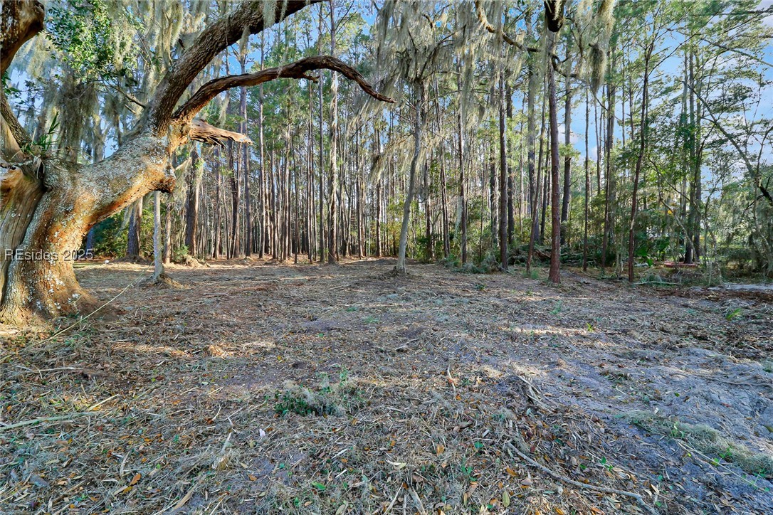 TBD West Branch Rd, Ridgeland, South Carolina image 6