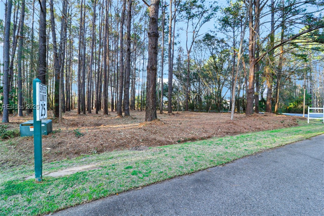 TBD West Branch Rd, Ridgeland, South Carolina image 8