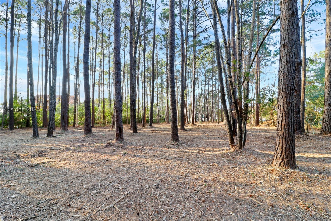 TBD West Branch Rd, Ridgeland, South Carolina image 12