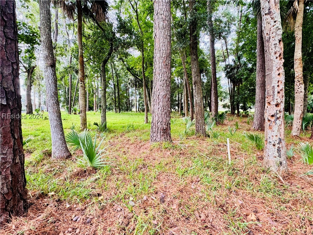 2 Peninsula Place, Daufuskie Island, South Carolina image 4