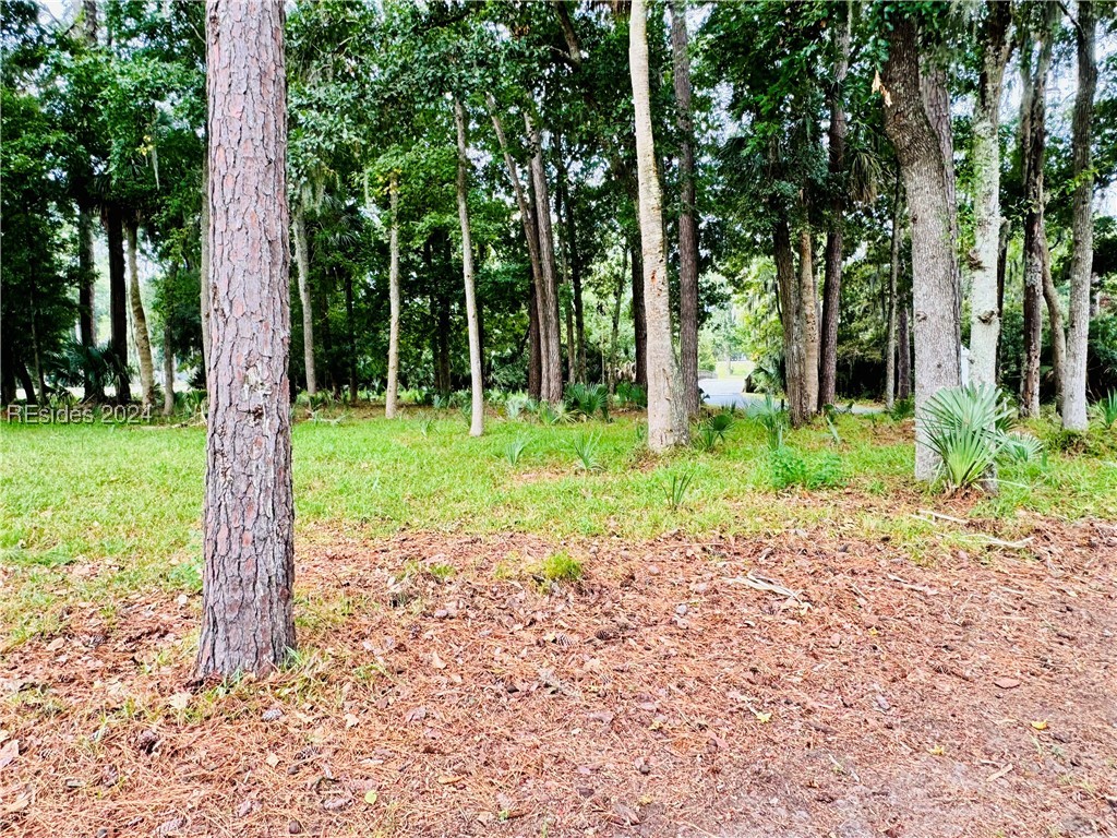 2 Peninsula Place, Daufuskie Island, South Carolina image 5