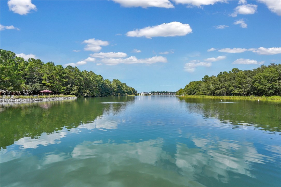 421 Hampton Lake Drive, Bluffton, South Carolina image 24