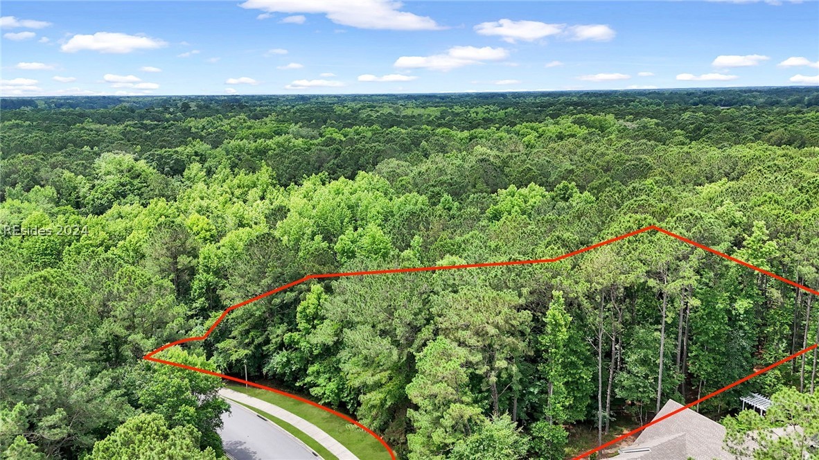 421 Hampton Lake Drive, Bluffton, South Carolina image 1