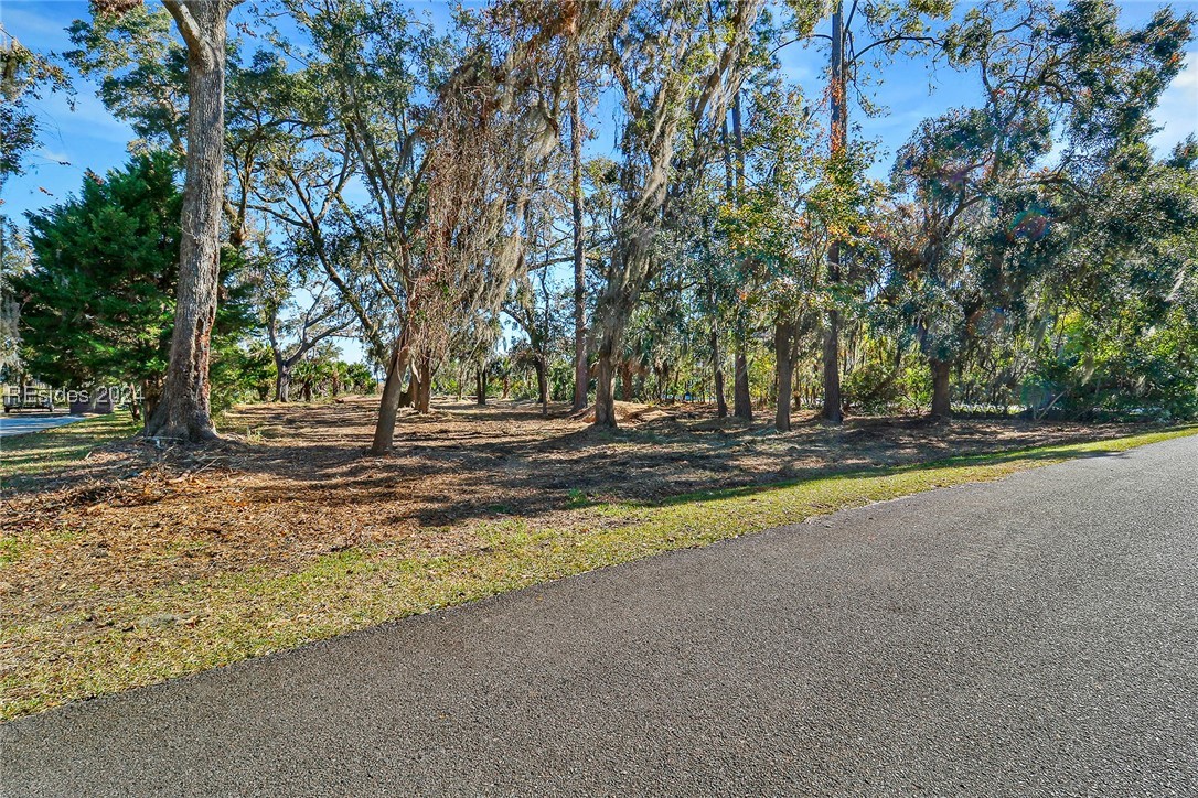 TBD Broadview Drive, Ridgeland, South Carolina image 13