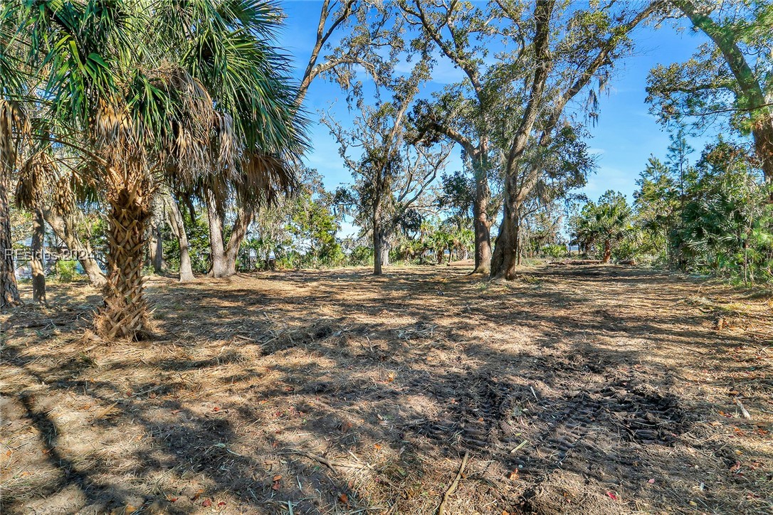 TBD Broadview Drive, Ridgeland, South Carolina image 18