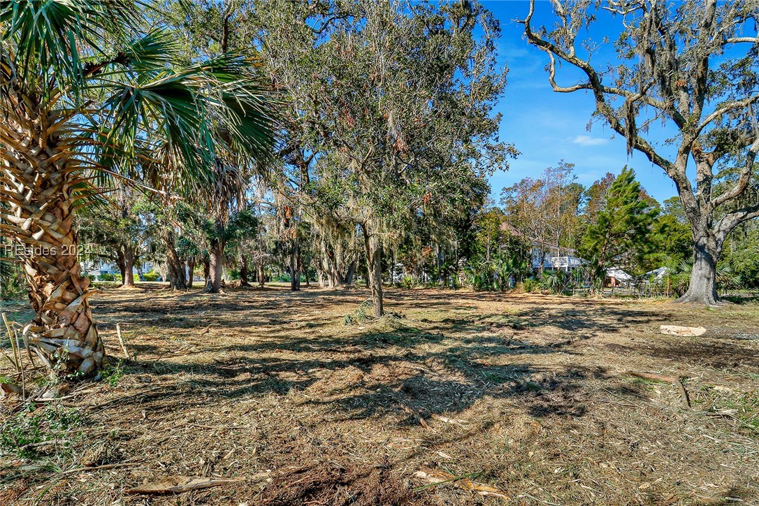 TBD Broadview Drive, Ridgeland, South Carolina image 16