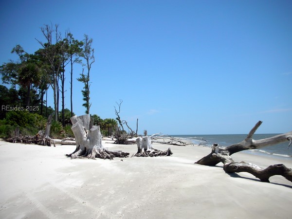 28 Beauregard Boulevard, Daufuskie Island, South Carolina image 6