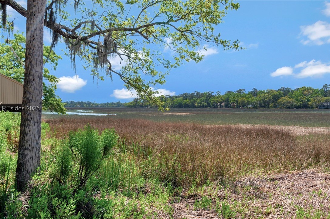 125 Devils Elbow Lane #125, Hilton Head Island, Texas image 33