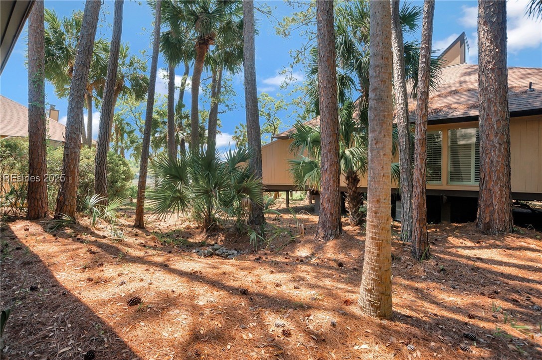 125 Devils Elbow Lane #125, Hilton Head Island, Texas image 31