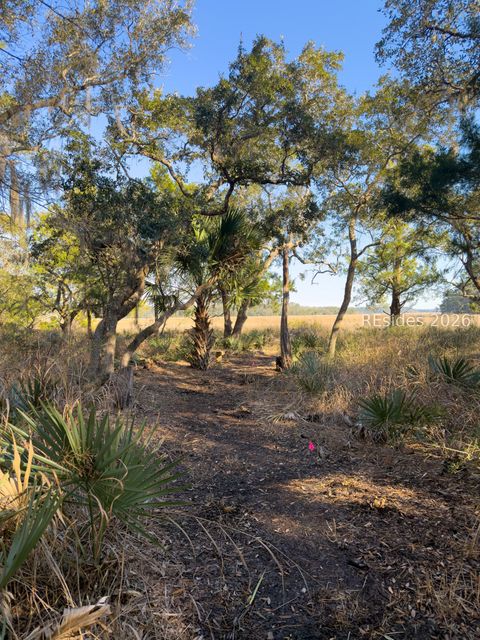 Vacant Land For Sale - 45 Huspah Court<br/> Seabrook, SC 29940