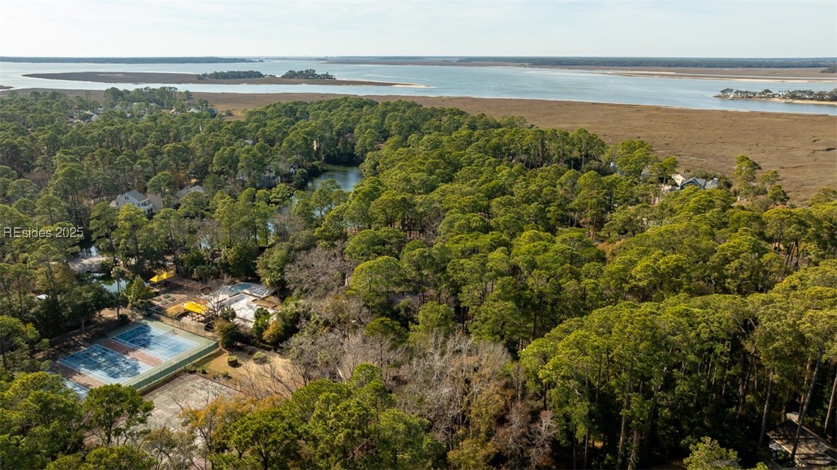 32 Three Mast Lane #32, Hilton Head Island, South Carolina image 39