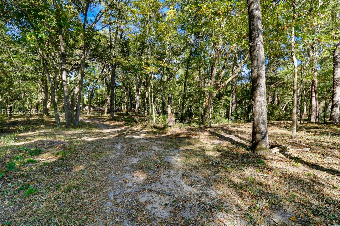 152 Riverview Drive, Ridgeland, South Carolina image 18